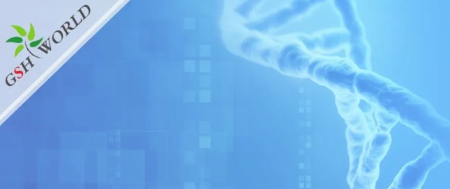 煙酰胺和nmn區(qū)別？煙酰胺單核苷酸(NMN) 的化合物
