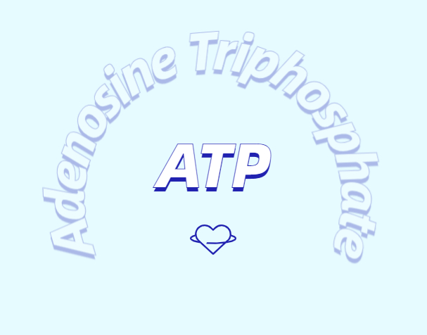ATP 補(bǔ)充劑有什么作用？