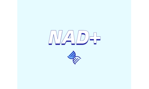 NAD在健康中有什么潛在作用？