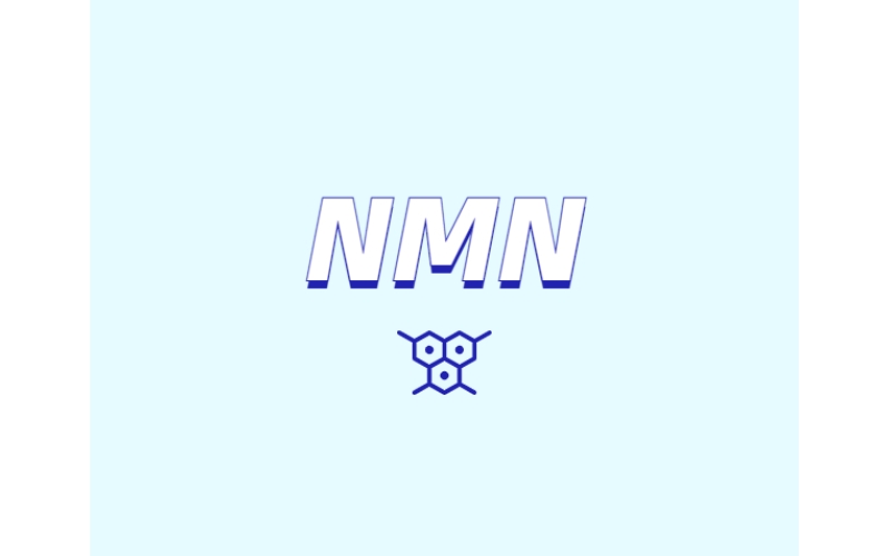 NMN為何是抗衰老研究熱點(diǎn)？